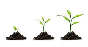 Strategic Growth